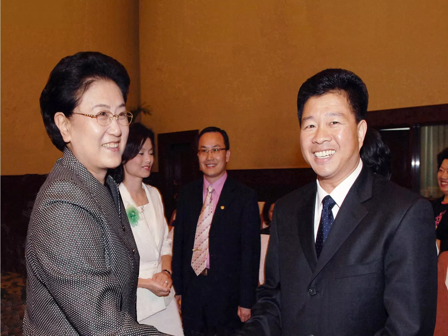 时任中央政治局委员、国务院副总理刘延东亲切接见集团董事长林金华
